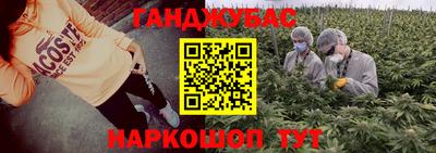 сатива Заволжье